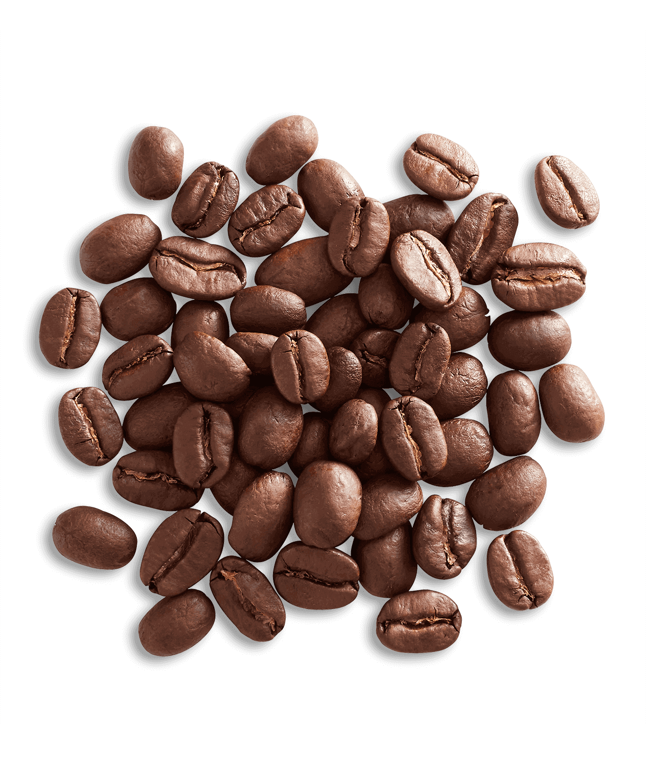 Organic Alameda Morning Blend - Image 3