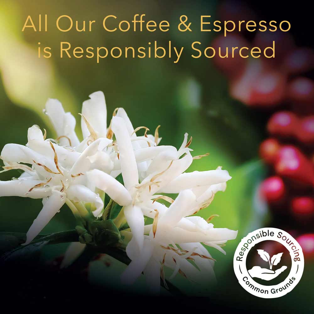 L'OR Estremo Lungo Espresso Capsules - Image 6
